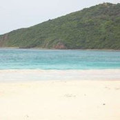 Erin Mckenzie's photo