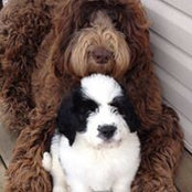Marcie Perrier's photo