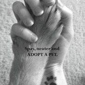 Kathy Liggett's photo
