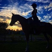 Kenzie Connor's photo
