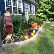 June Dotolo's photo