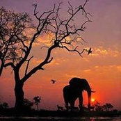 Maggie Barrett's photo