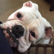 Azra Snyder's photo