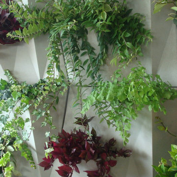 Angolo Wall planters