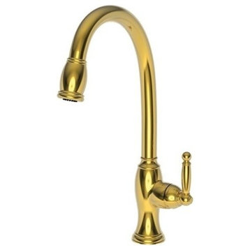Newport Brass 2510-5103 Nadya Single Handle Kitchen Faucet - Forever Brass
