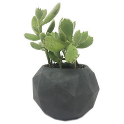 Industrial Indoor Pots And Planters by Intentional Grain