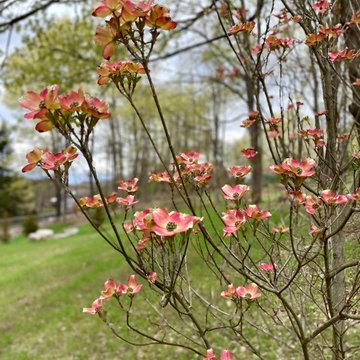 Blending Boundaries