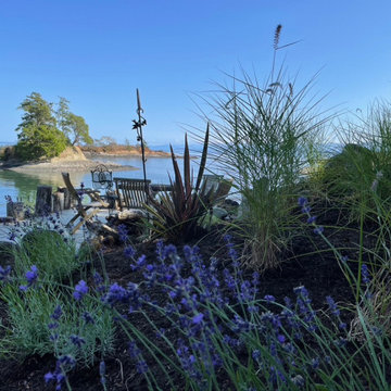 Seaside Plant Design/Install