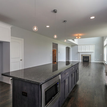 The Hampton Modified | Stewart Ridge Plainfield, IL