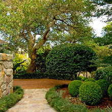 Outside garden / fence
