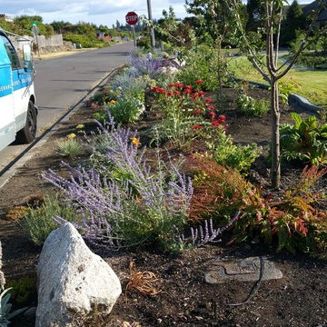 Edible Front Yard
