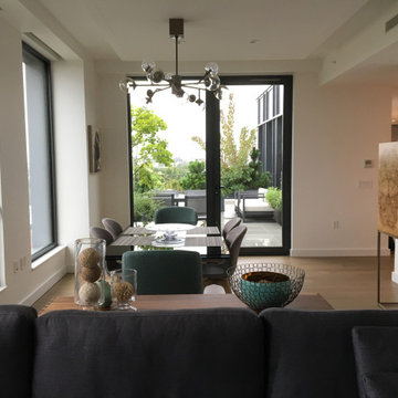 Brooklyn Penthouse