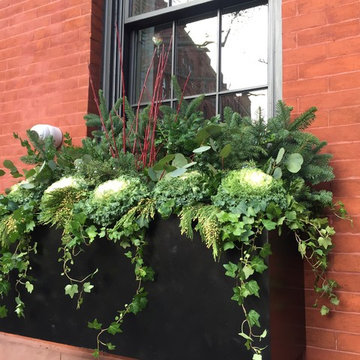 Brooklyn Heights Winter Evergreens
