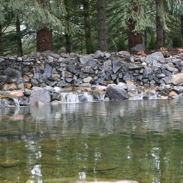 Pleasant Hill Waterfall and Koi Pond