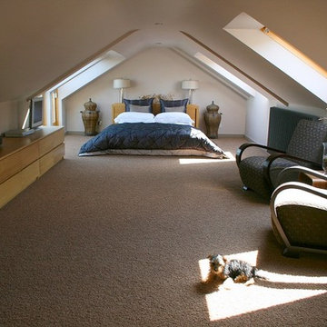 Attic Cleaning Service in Claremont, CA