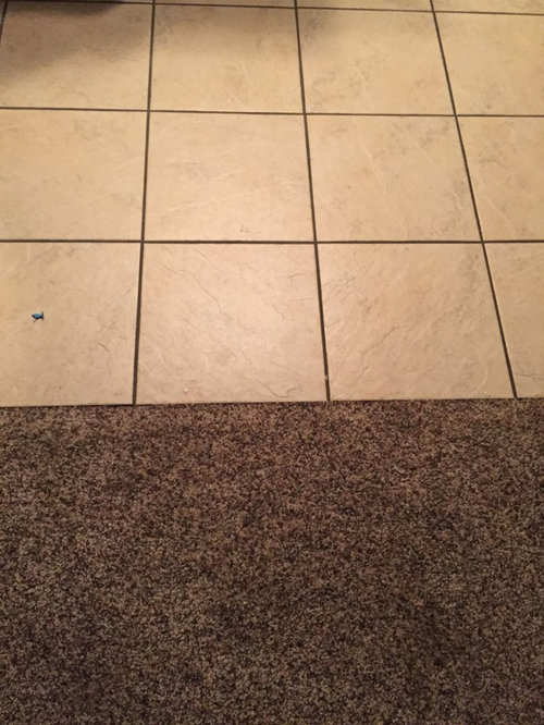 Carpet or Laminate