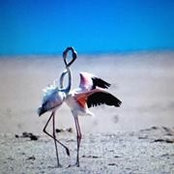 Nancy Chen's photo