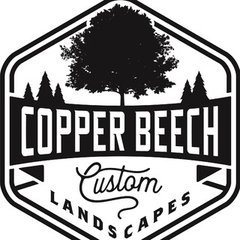 Copper Beech Custom