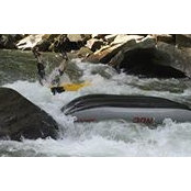 Courtenay Davis's photo