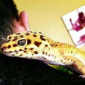 Pedro Soares's photo