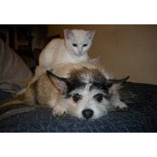 Susan Koonce Adams's photo