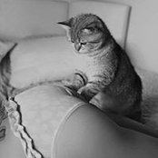 Foto de Bá Đạt
