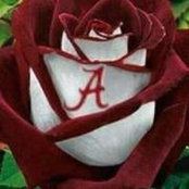Wendy Bedwell's photo
