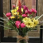 Sandra Forrester's photo