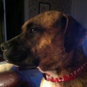 Val Mercey's photo