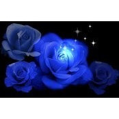 Janice Nasca's photo