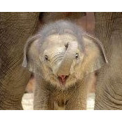 Laurie Mueller's photo