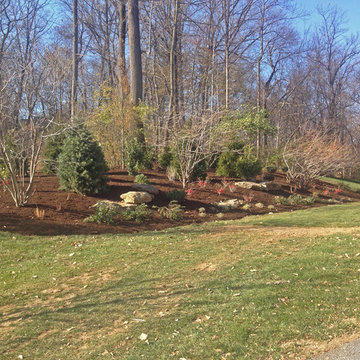 Fall Landscape Buffer Planting