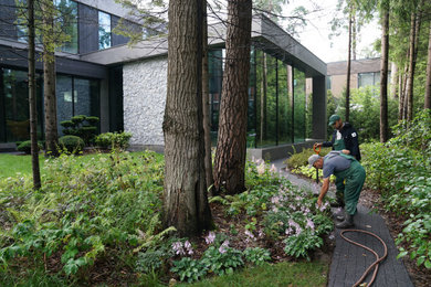 This is an example of a modern garden in Moscow.