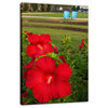 The Riverfront 2 Floral Nature Photography Canvas Wall Art Print, 12" X 16"