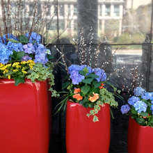 Container Gardens
