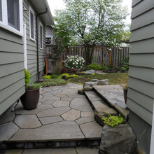 backyard project