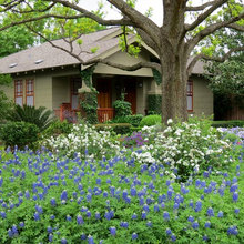 Xeriscape