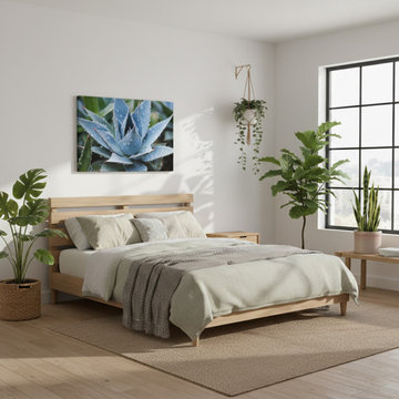 Delicate Agave Biophilic Style Artwork