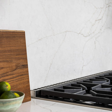 Burns Park Kitchen & Interior Renovation