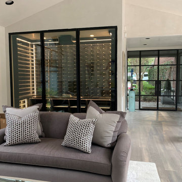 Turning a cabinet and hidden closet into a climate controlled wine feature