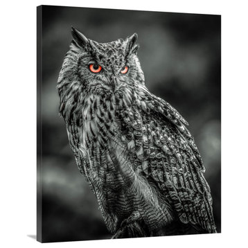 "Wise Owl 2 black & white" by European Master Photography, 32"x40"