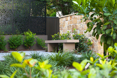 This is an example of a mid-sized modern courtyard garden in Brisbane with natural stone pavers.