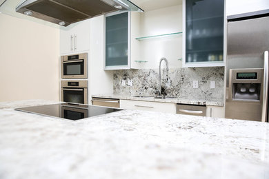 Kitchen - contemporary kitchen idea in Houston