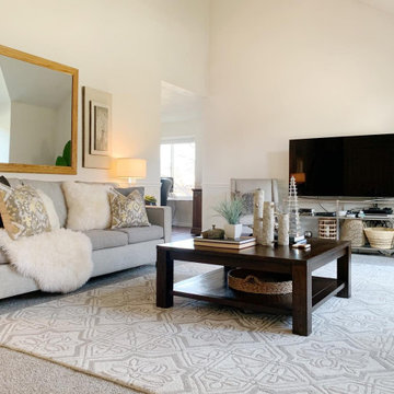 Living & Family Room Designs