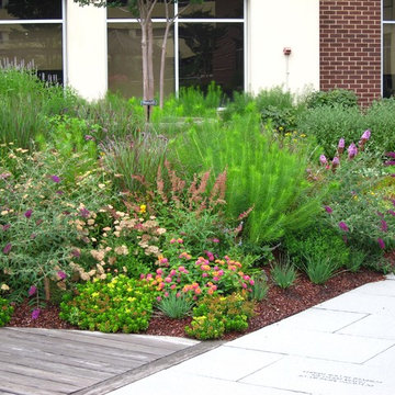 ROOFTOP GARDEN / A Long Term Heritage Project