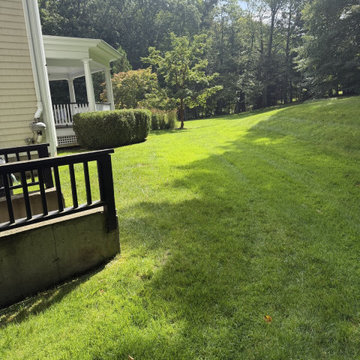 Shaded Lawn Beside Porch and Mature Trees - Westchester County