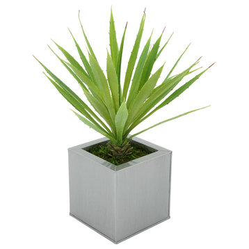 Faux Baby Yucca in Square Zinc Pot, Silver