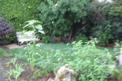 Photo of a landscaping in Los Angeles.