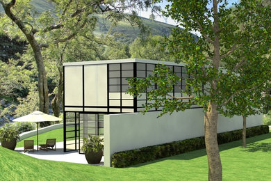 Contemporary version of the Eames House
