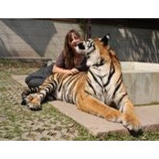 Julia Stanislavskaia's photo